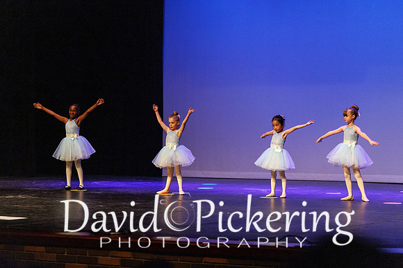 C31A6333-193