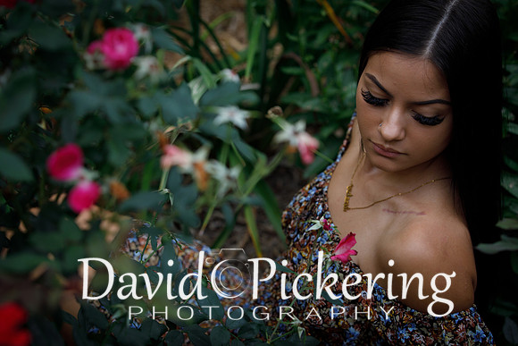 DPP_3967-76