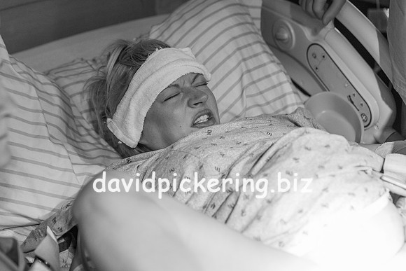 DPP_9544-36