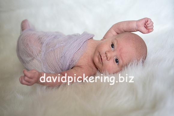DPP_0118-1