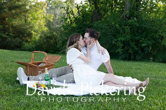 DPP_1119-35