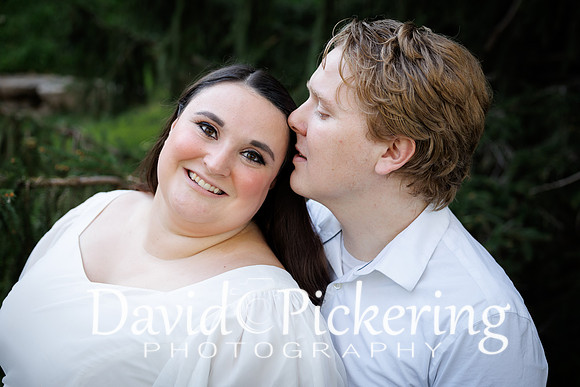 C31A8341-43