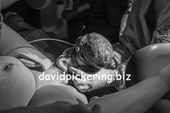 DPP_9610-51