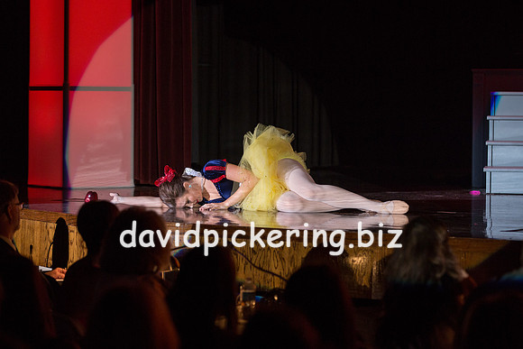 DPP_1485-163