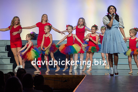 DPP_1796-306