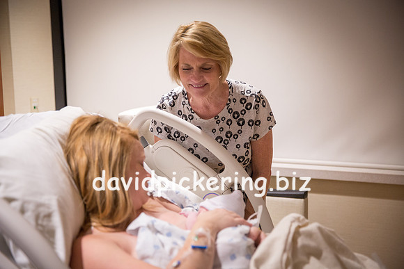 DPP_6608-17