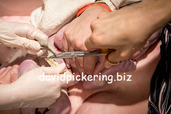 DPP_6443-208