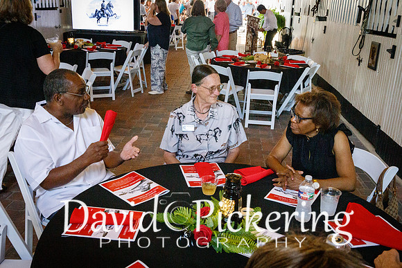 DP2_8203-39