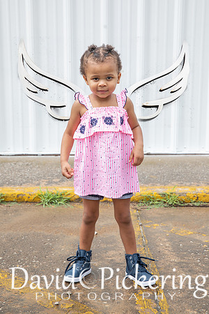 wings 1