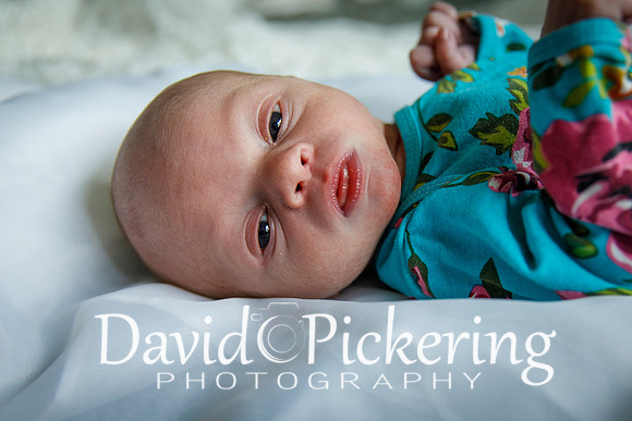 DPP_4626-60
