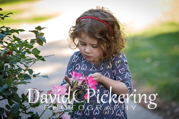 DPP_0561-6