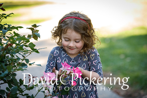 DPP_0566-7