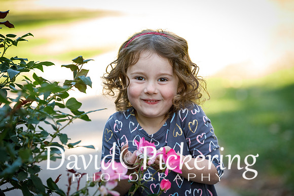 DPP_0570-8