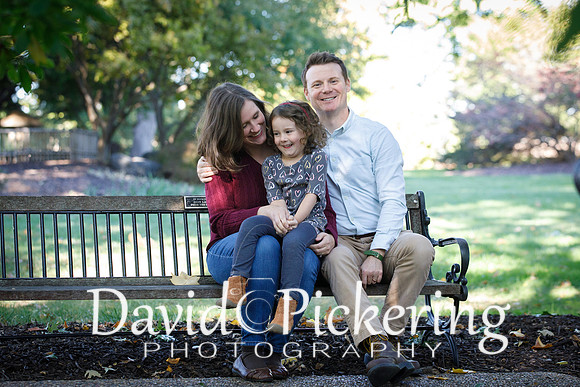 DPP_0600-17