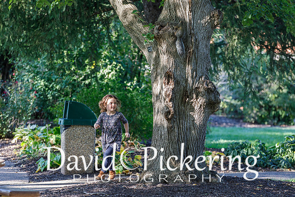 DPP_0629-25