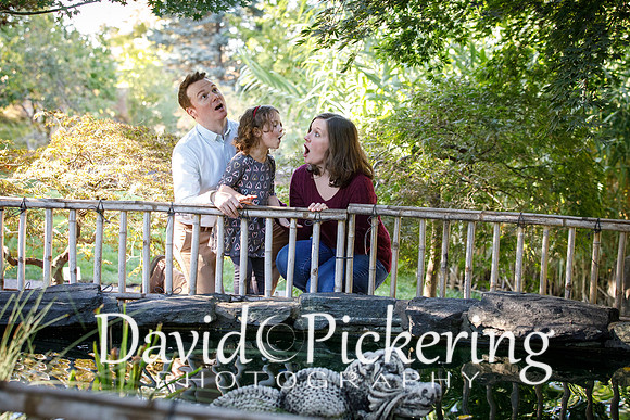 DPP_0654-31