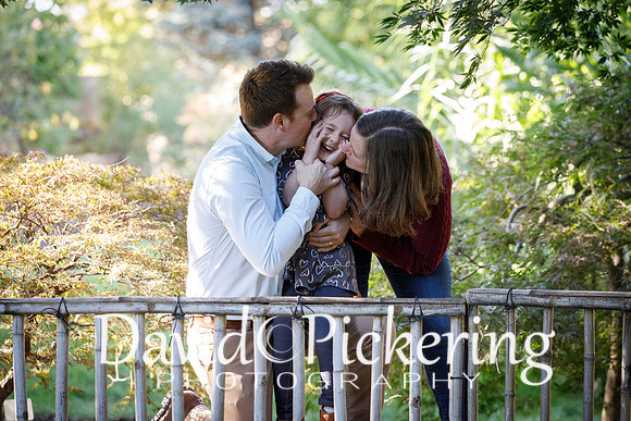 DPP_0683-36