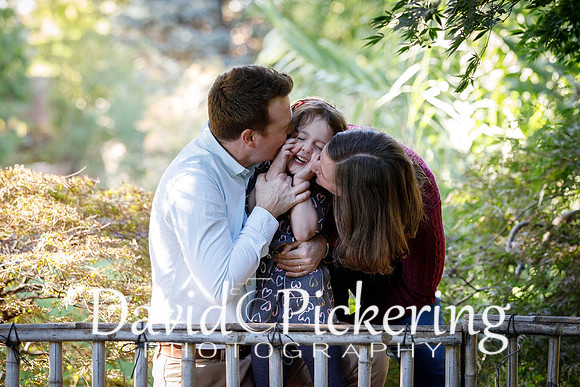 DPP_0686-37