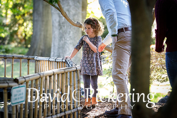 DPP_0696-38