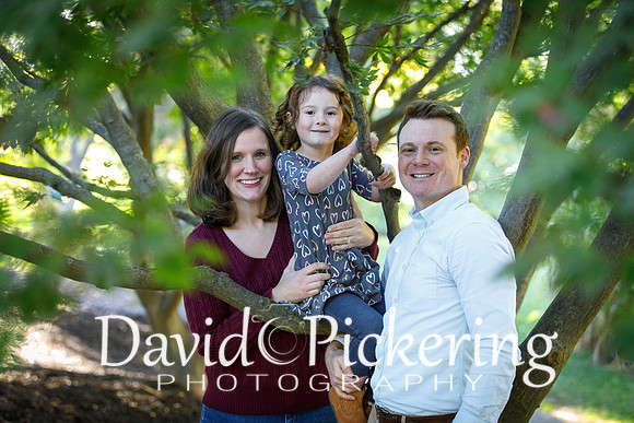 DPP_0803-53