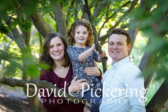 DPP_0822-54