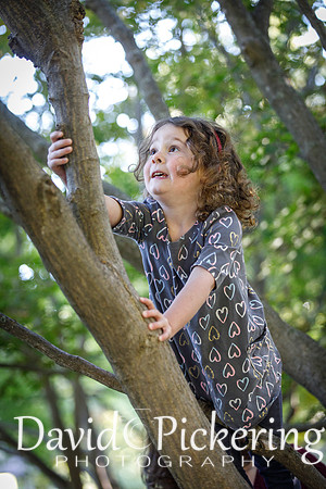 DPP_0827-55