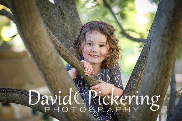 DPP_0833-56