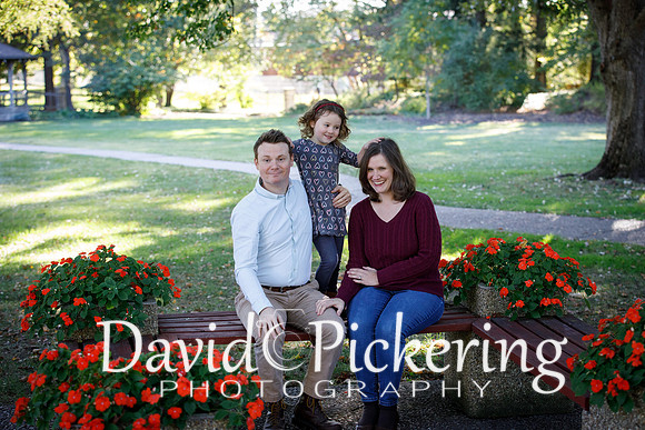 DPP_0919-65