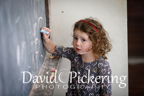 DPP_1008-80