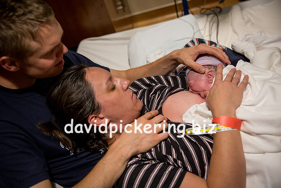 DPP_6482-230