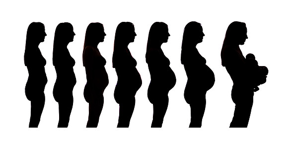 emily timeline silhoutte