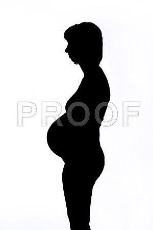 DPP_2530-15