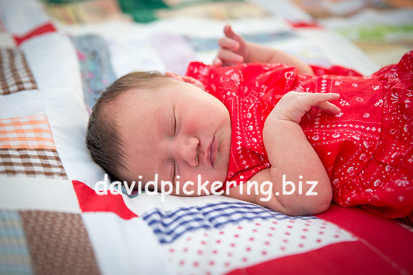 DPP_7214-8
