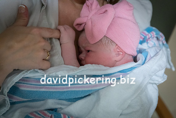DPP_9830-115