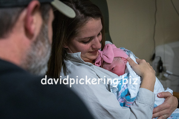 DPP_9801-104