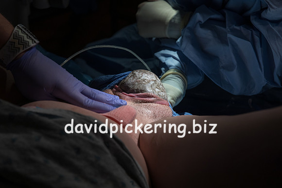 DPP_9572-43