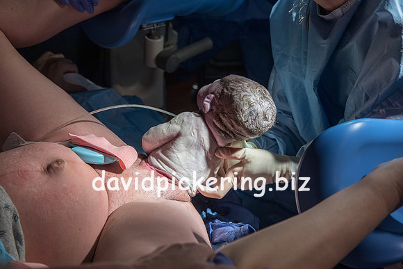 DPP_9618-54