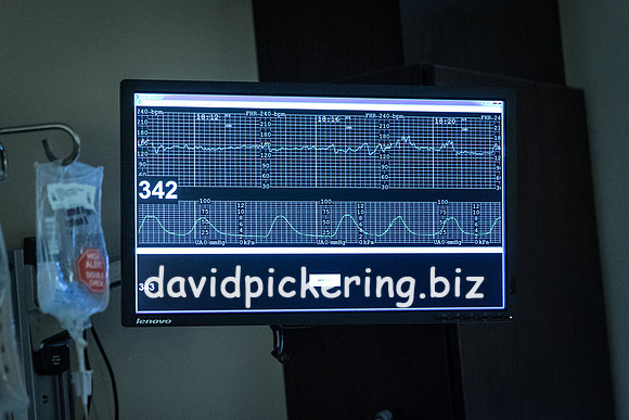 DPP_9429-6