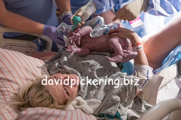 DPP_9635-60