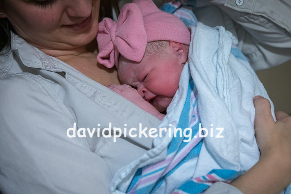 DPP_9804-105