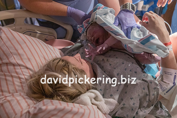 DPP_9629-58