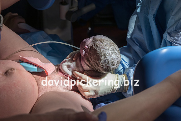 DPP_9610-52