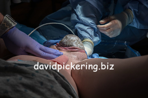 DPP_9575-44