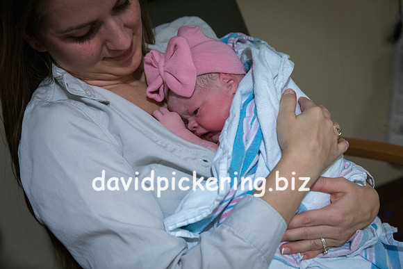 DPP_9806-106