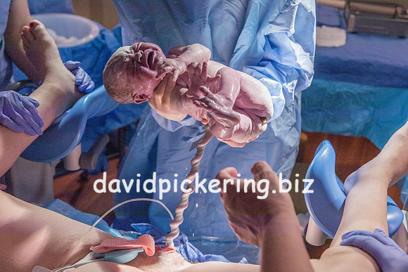 DPP_9626-57
