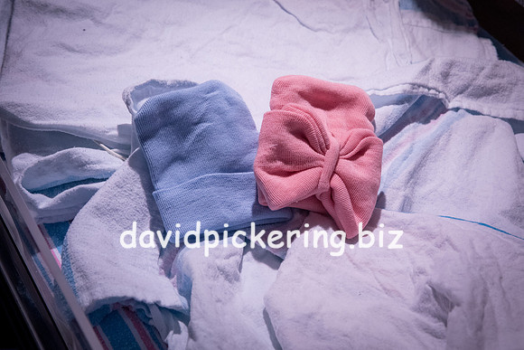 DPP_9522-33