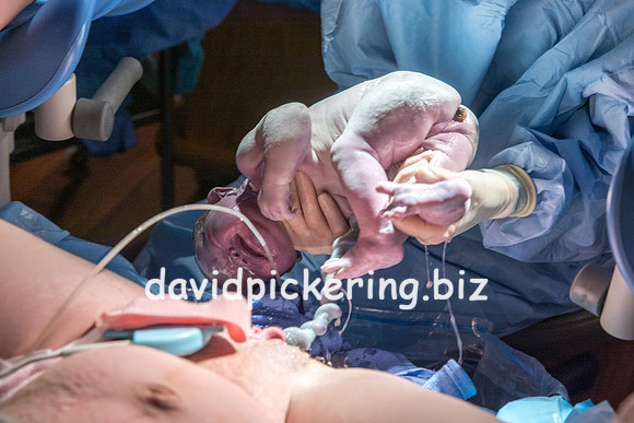 DPP_9622-55