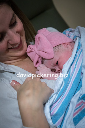 DPP_9834-116