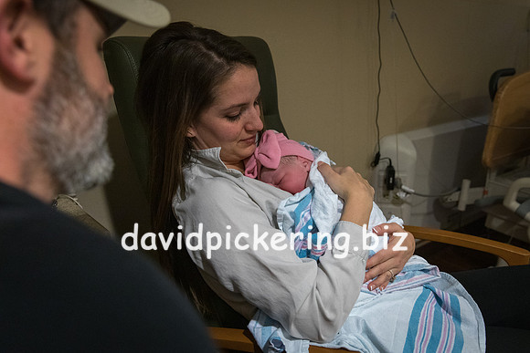 DPP_9798-103