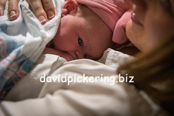 DPP_9957-147
